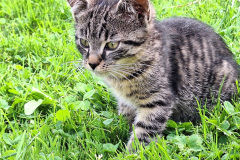 20240519_060841.jpg-2